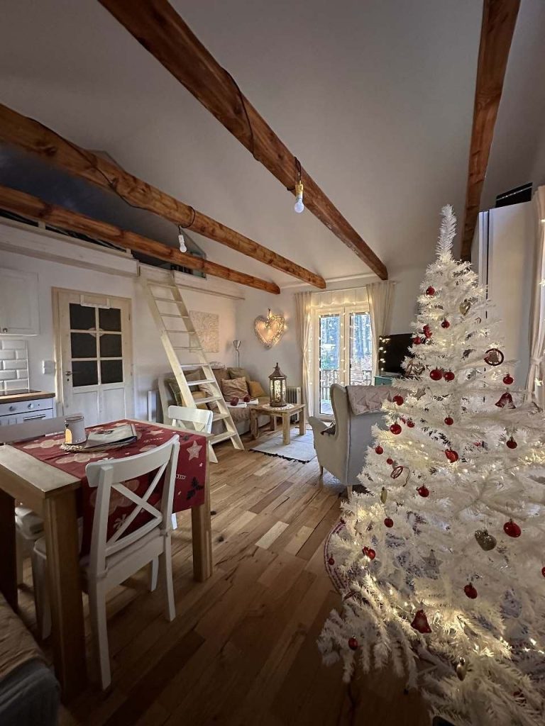 chatinka-vanoce-obyvaci-mistnost-21cb-961803