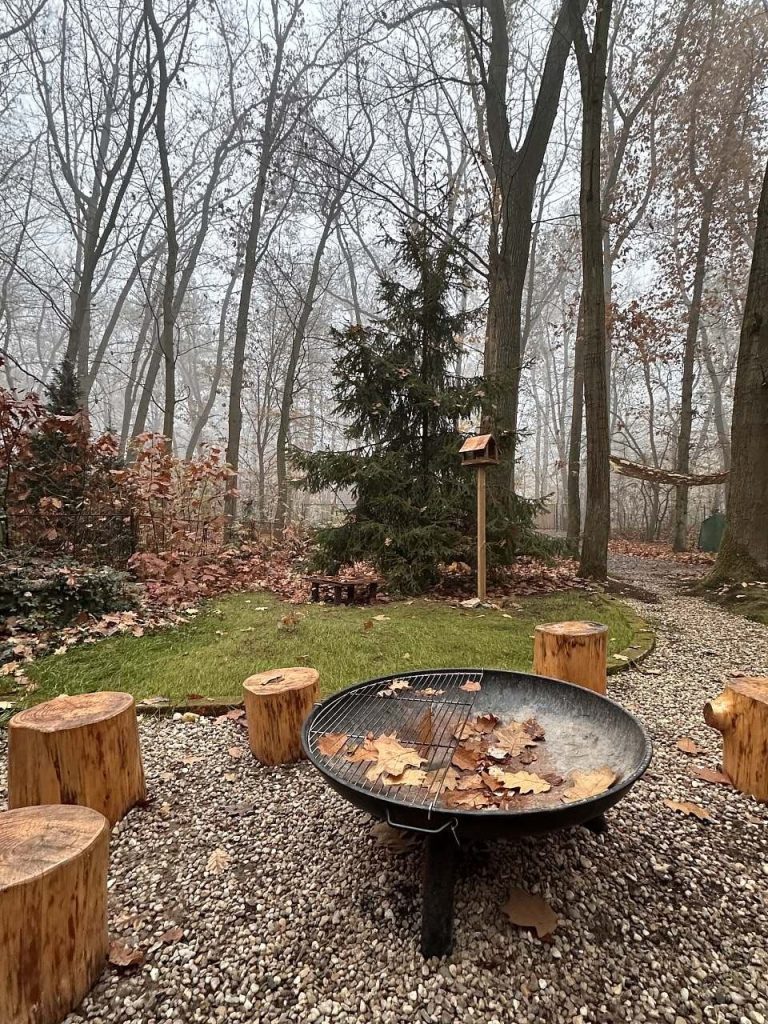 vyhled-z-chatinky-na-les-6cd2-961802