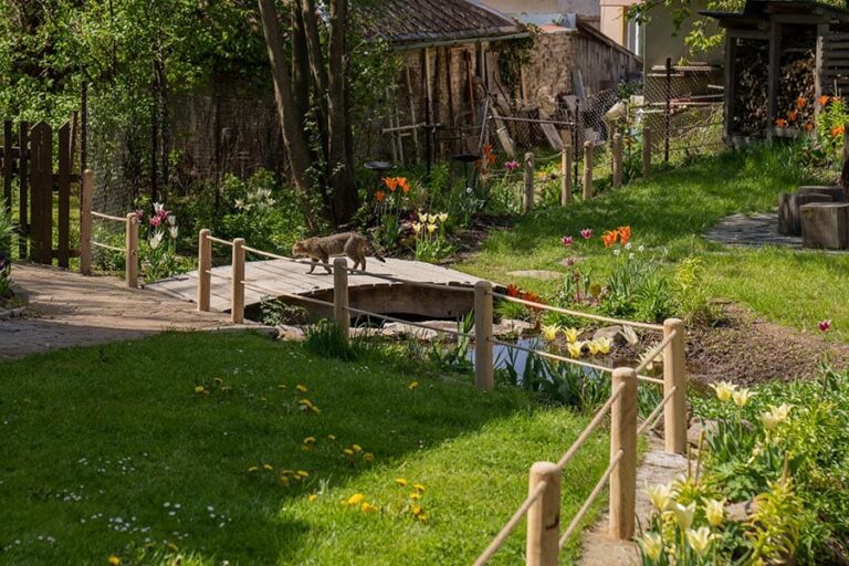 20230409-DSC05321-kopie