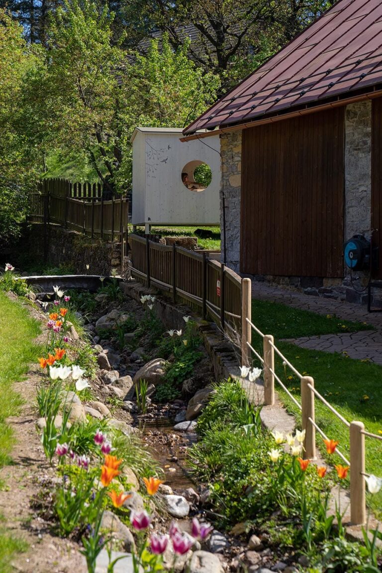 20230409-DSC05322-kopie