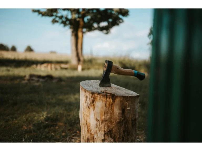 49-2_kontejner-louka