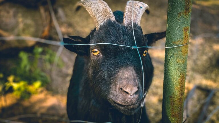 5ec67acd6a8504f13a3f5c36_IMG_6051-1600