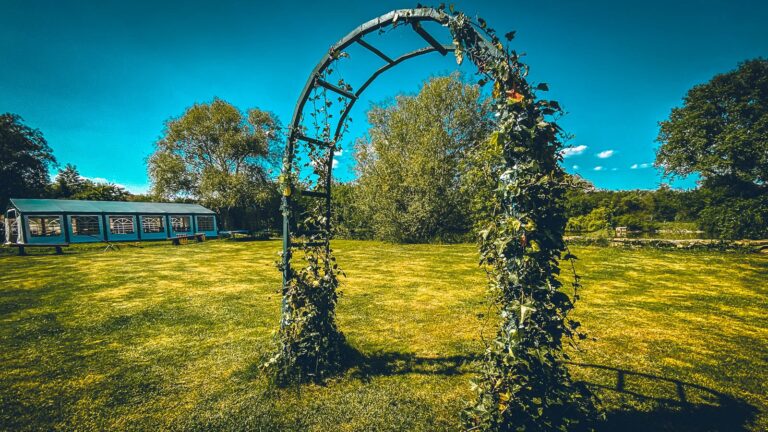 5ec67ad766486f5e3b06a55f_IMG_6123-1600