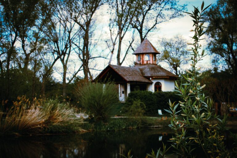 60b2b1871df666696a96aac3_IMG_2912