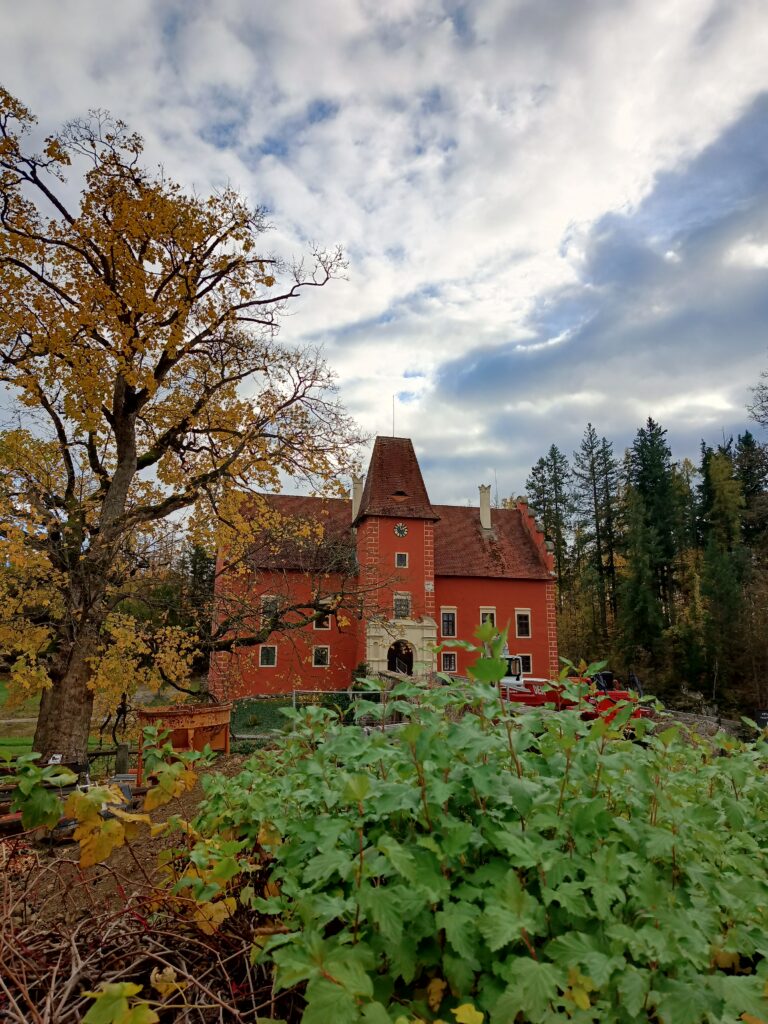 IMG_20231108_135637_484