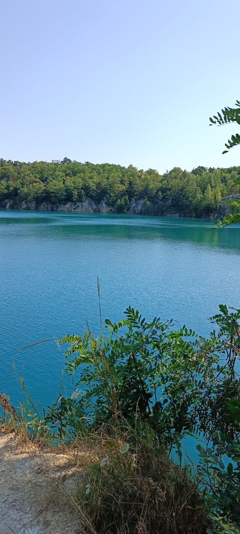 IMG_20240719_110419_107