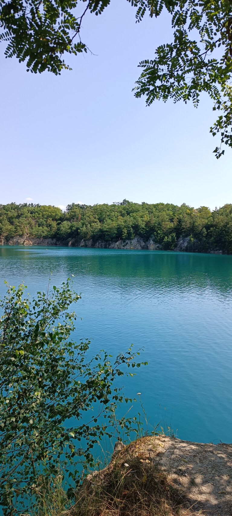 IMG_20240719_110533_976