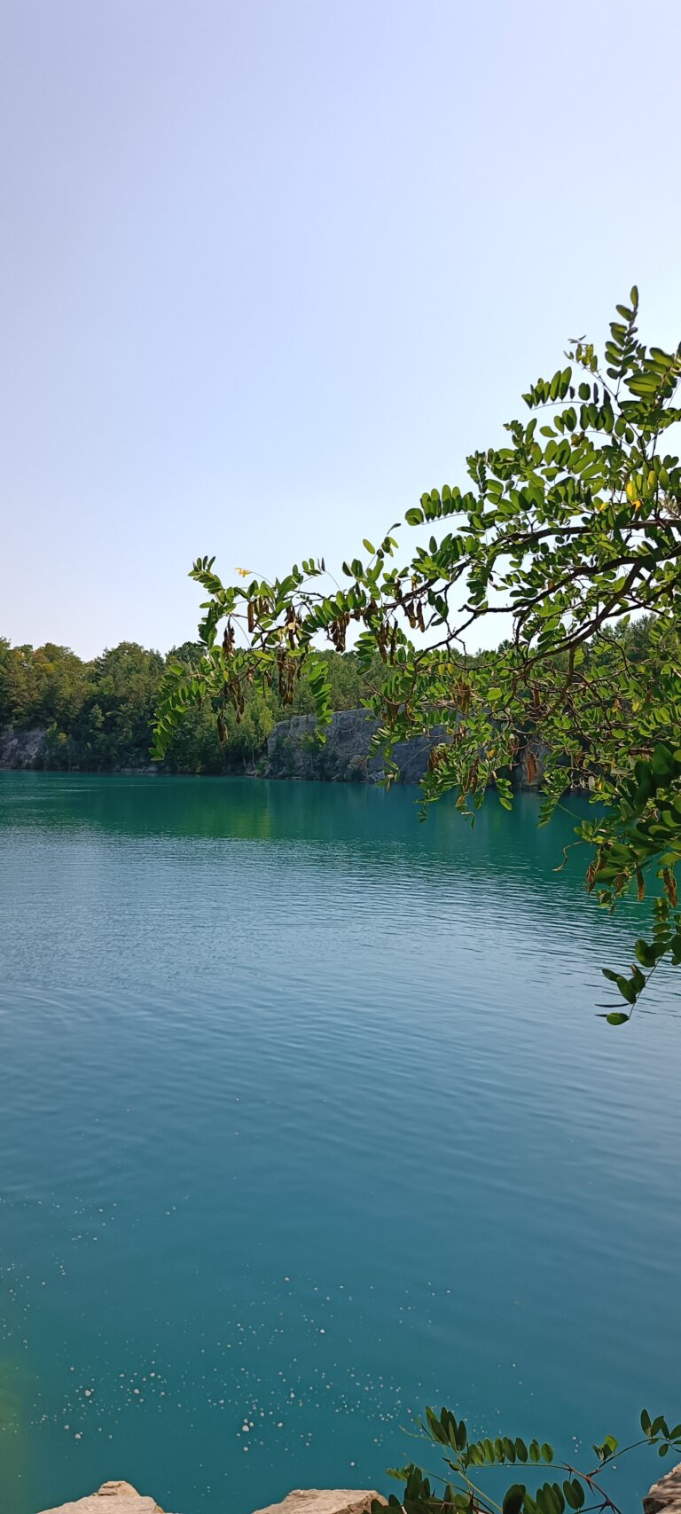 IMG_20240719_110916_067