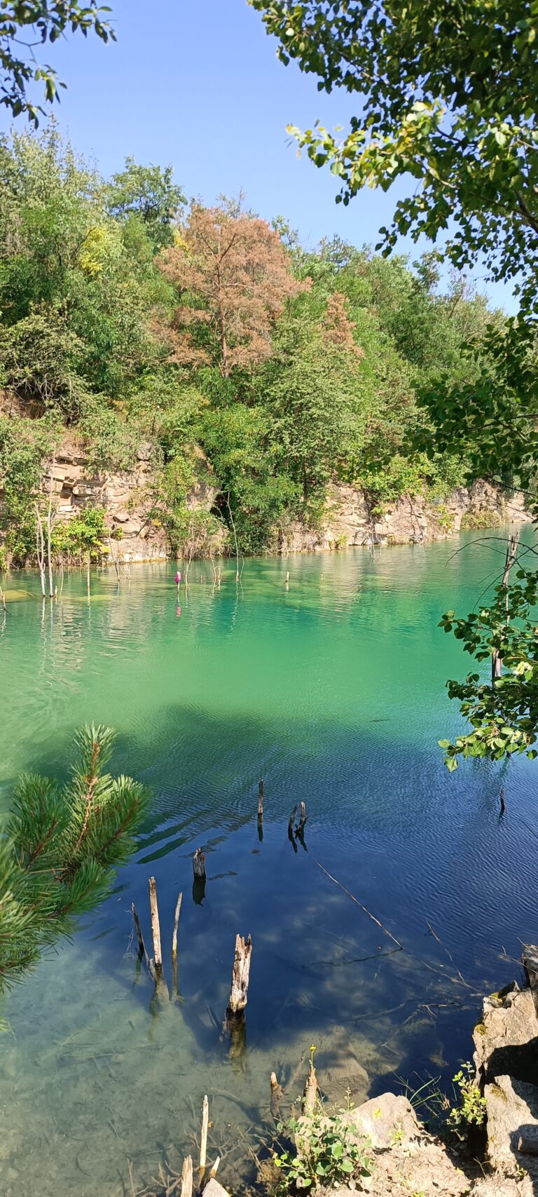 IMG_20240719_111015_236