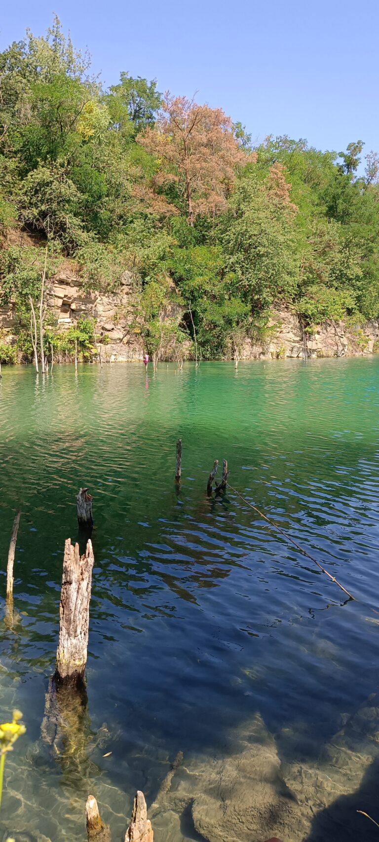 IMG_20240719_111209_475