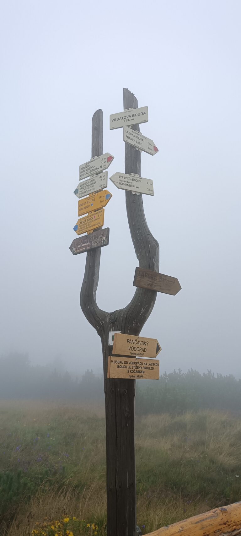 IMG_20240802_124759_351