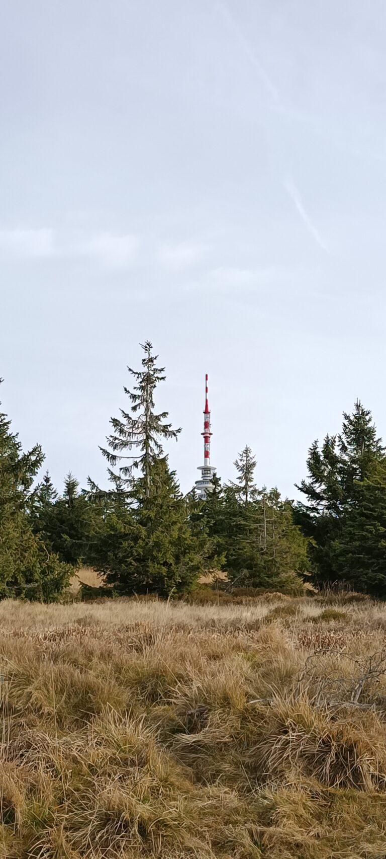 IMG_20241103_110026_170