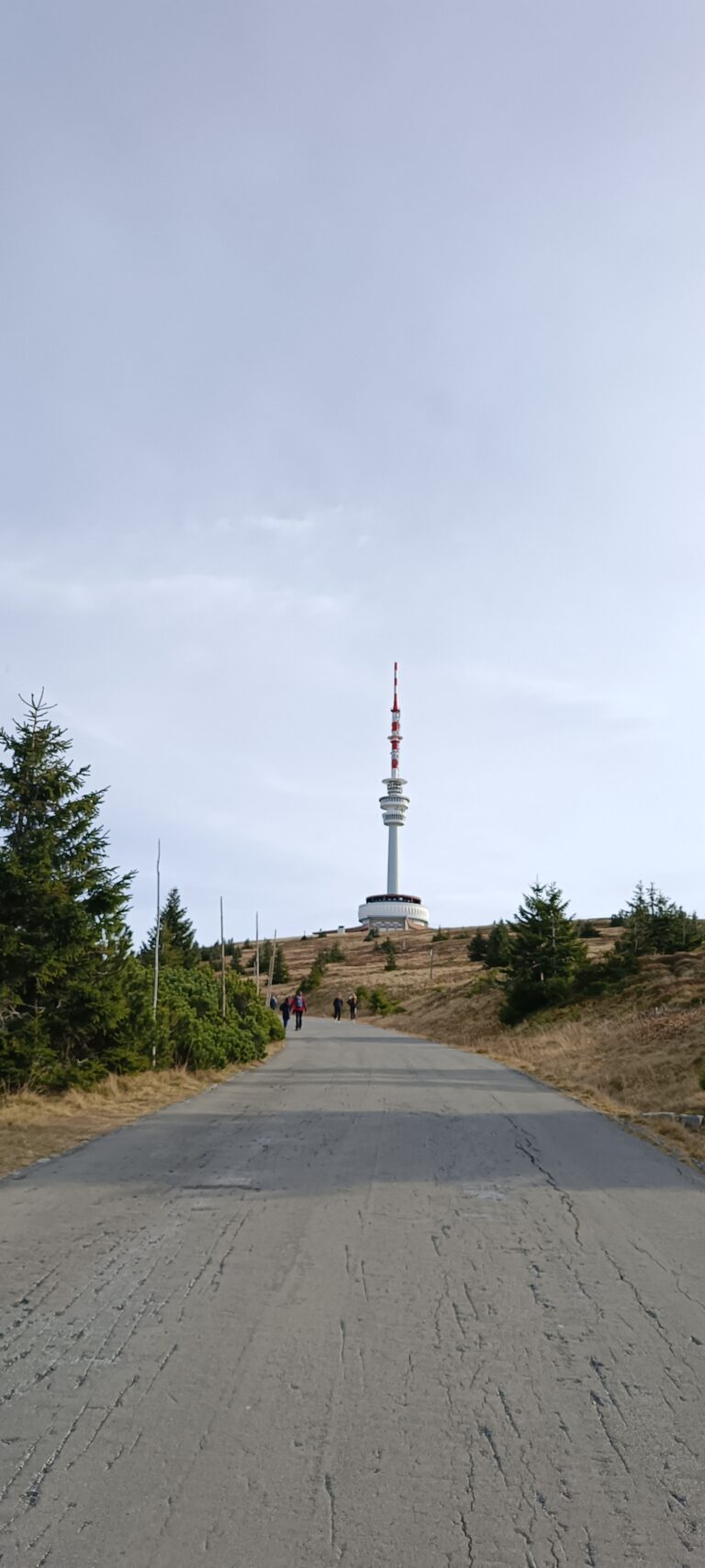 IMG_20241103_110614_736