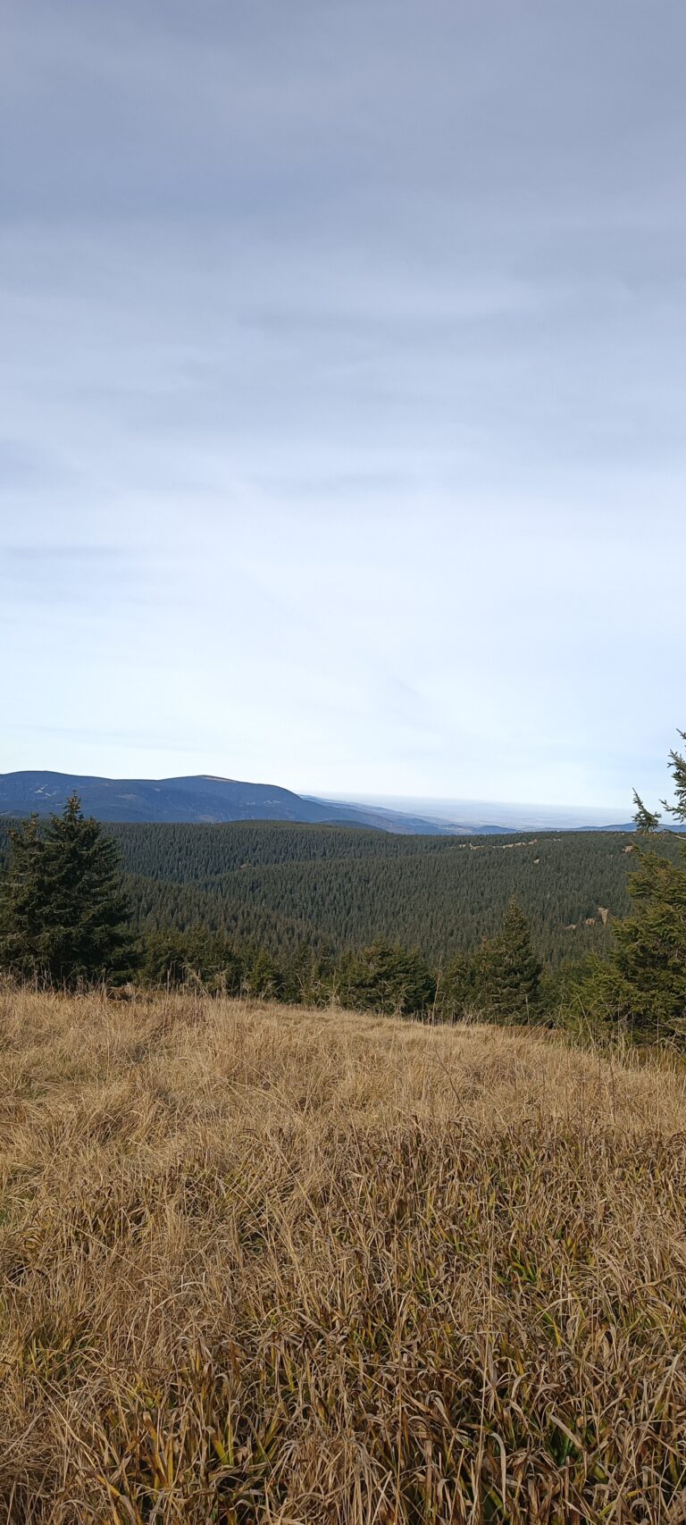 IMG_20241103_110937_609