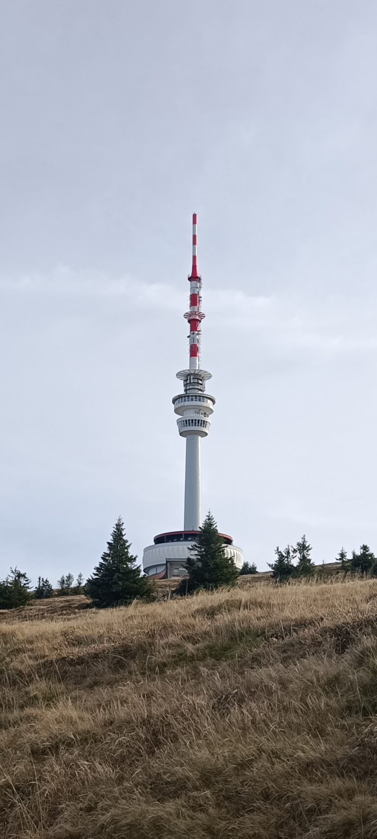 IMG_20241103_111105_449