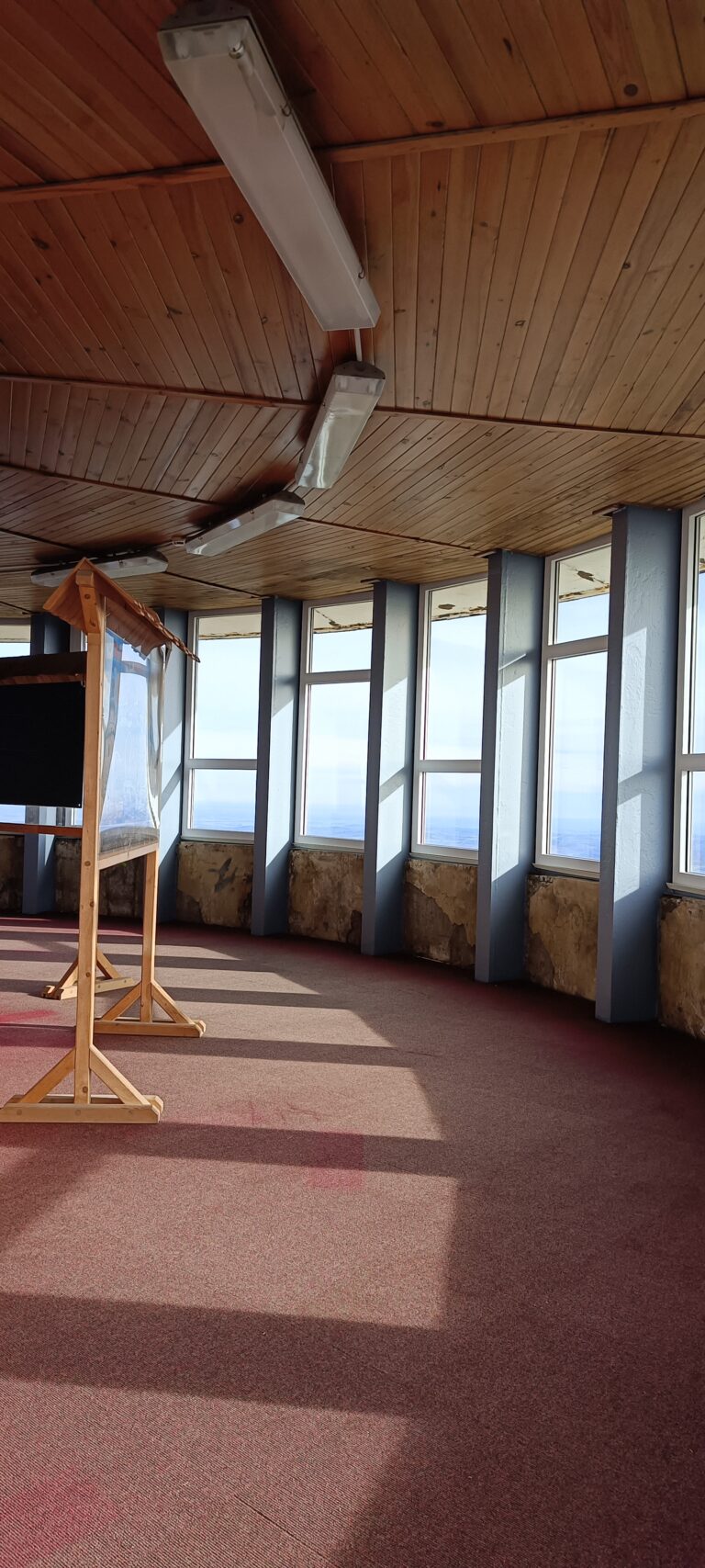 IMG_20241103_115457_876