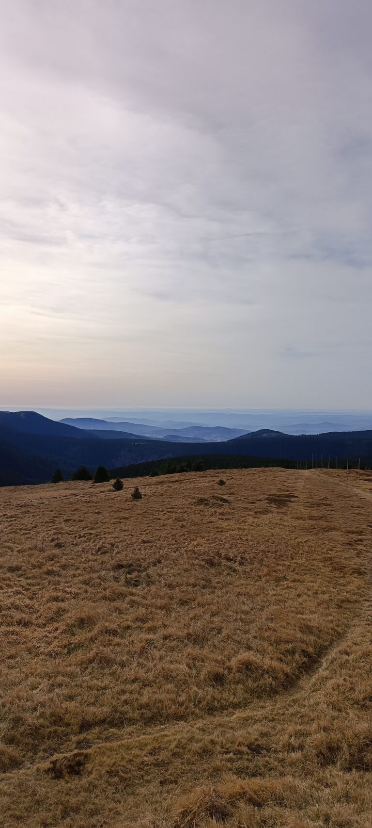 IMG_20241103_121632_428