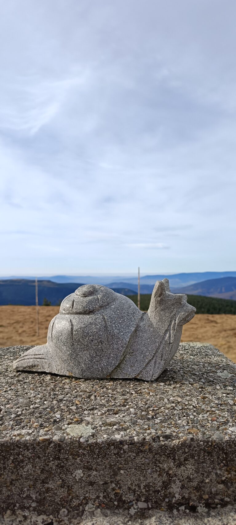 IMG_20241103_121719_417