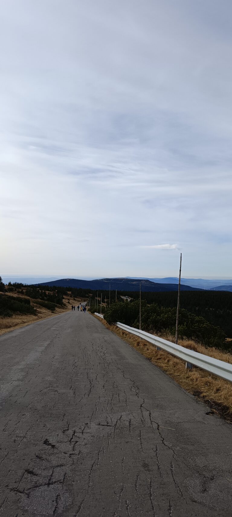 IMG_20241103_123220_486