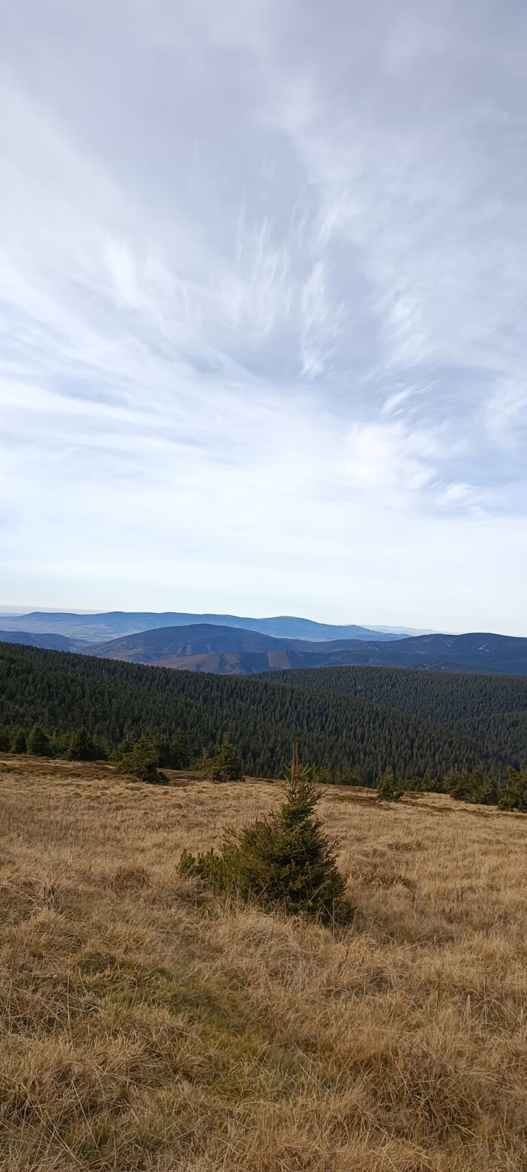 IMG_20241103_123226_394