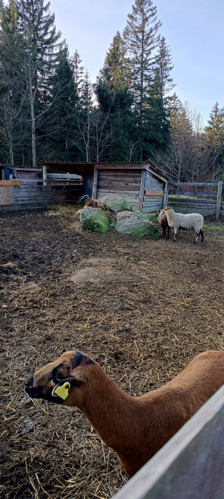 IMG_20241105_150238_217