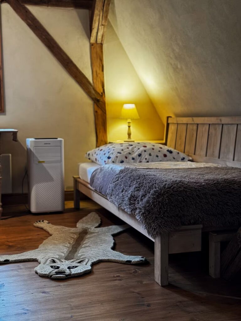 pokoj-s-dvemi-oddelenymi-luzky-4