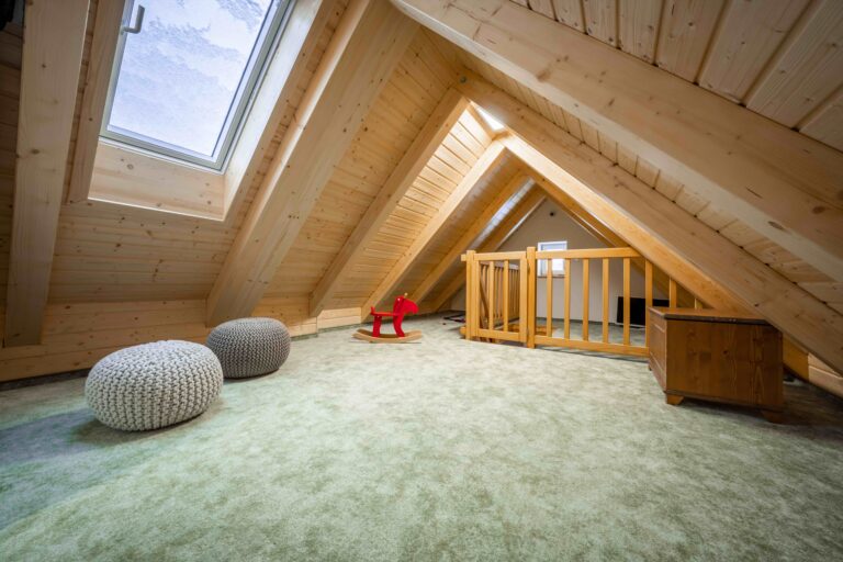 roubenka_jindriska_leden_2022_hires-0002