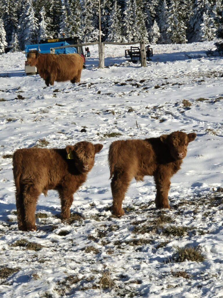 04f9716d-7d88-4670-a2dc-f7c0c5b0f594