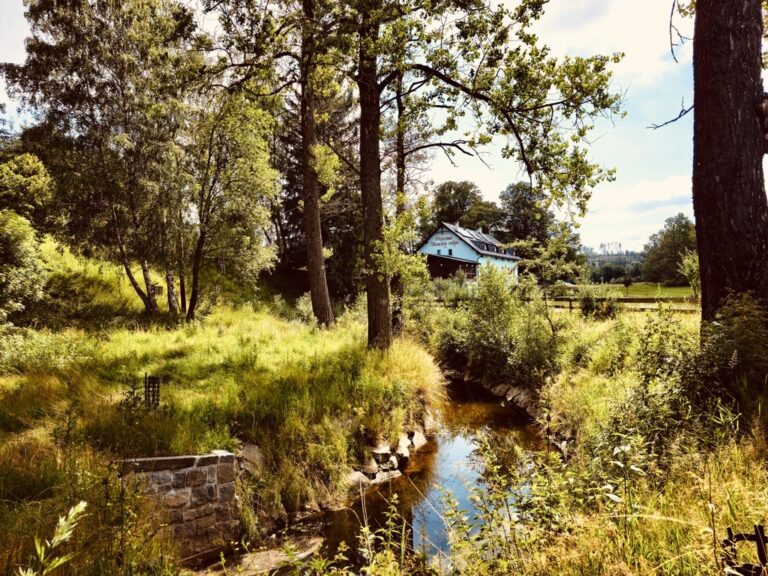 391C8AFC-3CD1-479D-93DB-5F3407B6850A_1_105_c