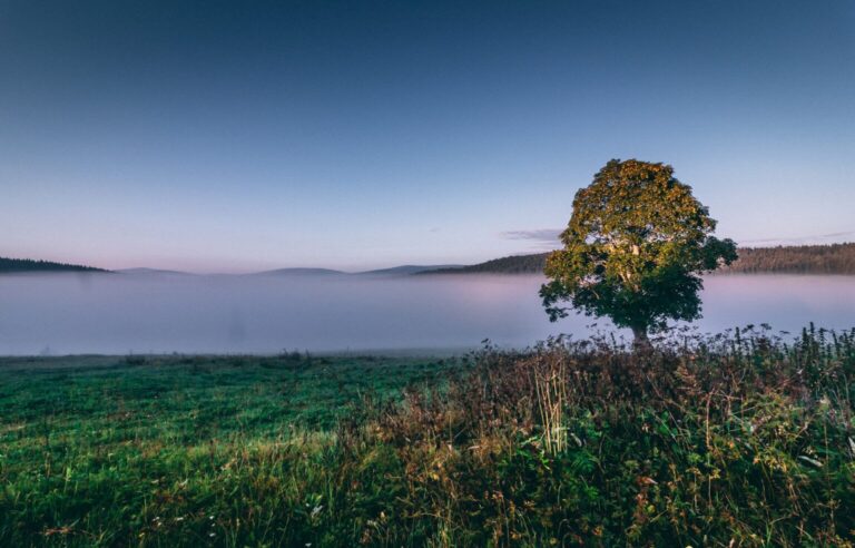 40234203_2245738558772918_8630572120855805952_n-1536x983