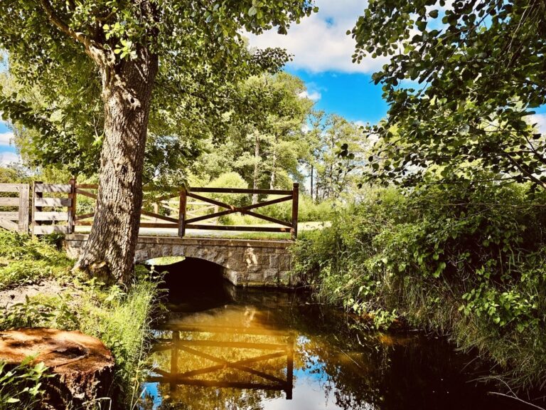 9344BC9C-8FC7-4B51-864A-BD56CAF8EFE3_1_105_c