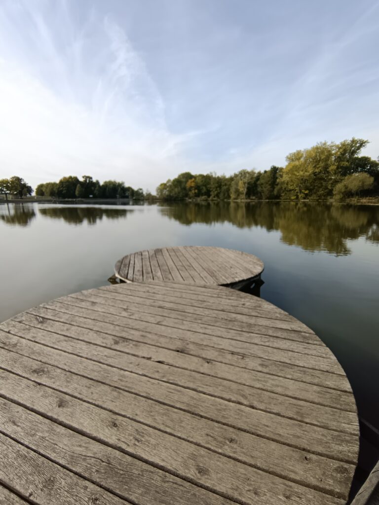 IMG_20220822_174900_341@1239489108