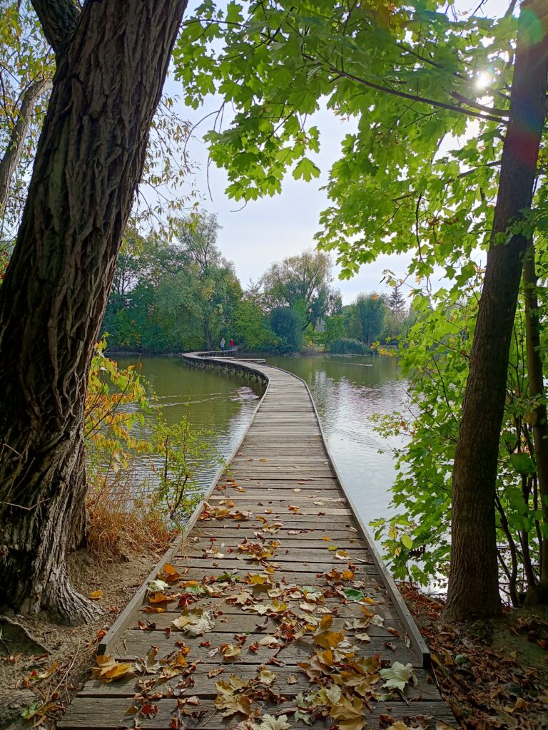 IMG_20220822_180511_028@-1394679301