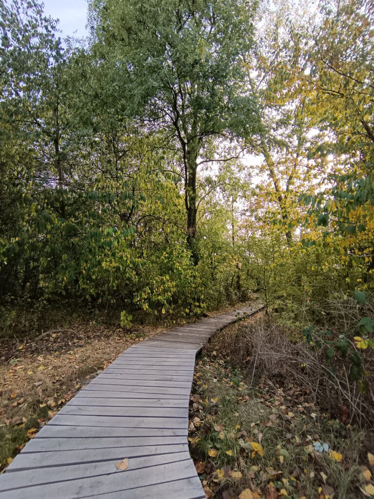 IMG_20220822_180853_523@1836339068