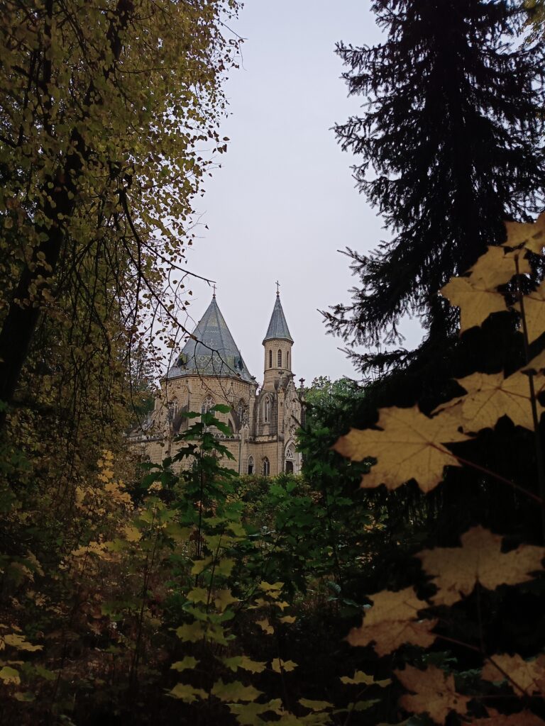 IMG_20231024_172922_577