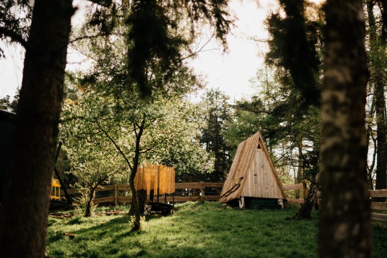 Glamping Ventus 2024