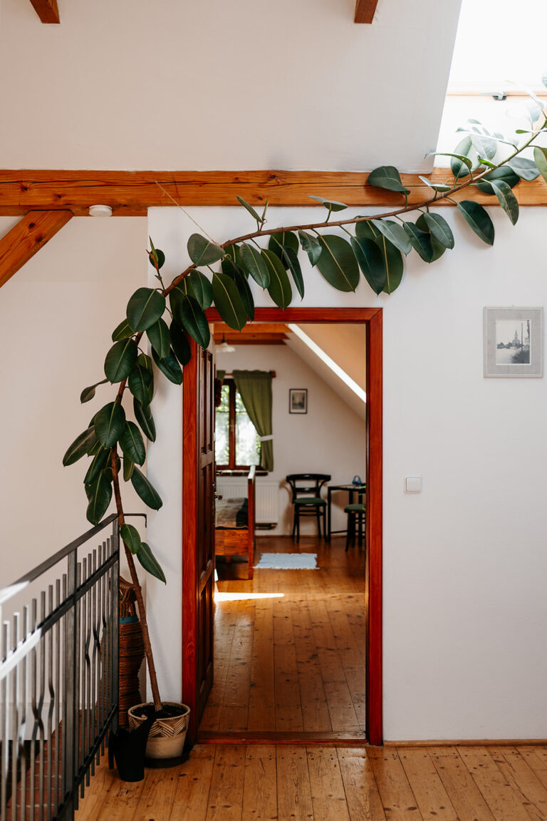 Na Cechách pár fotek