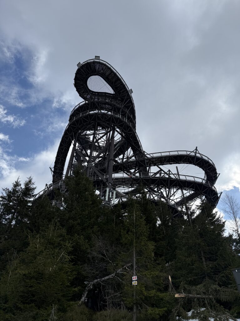 IMG_3370