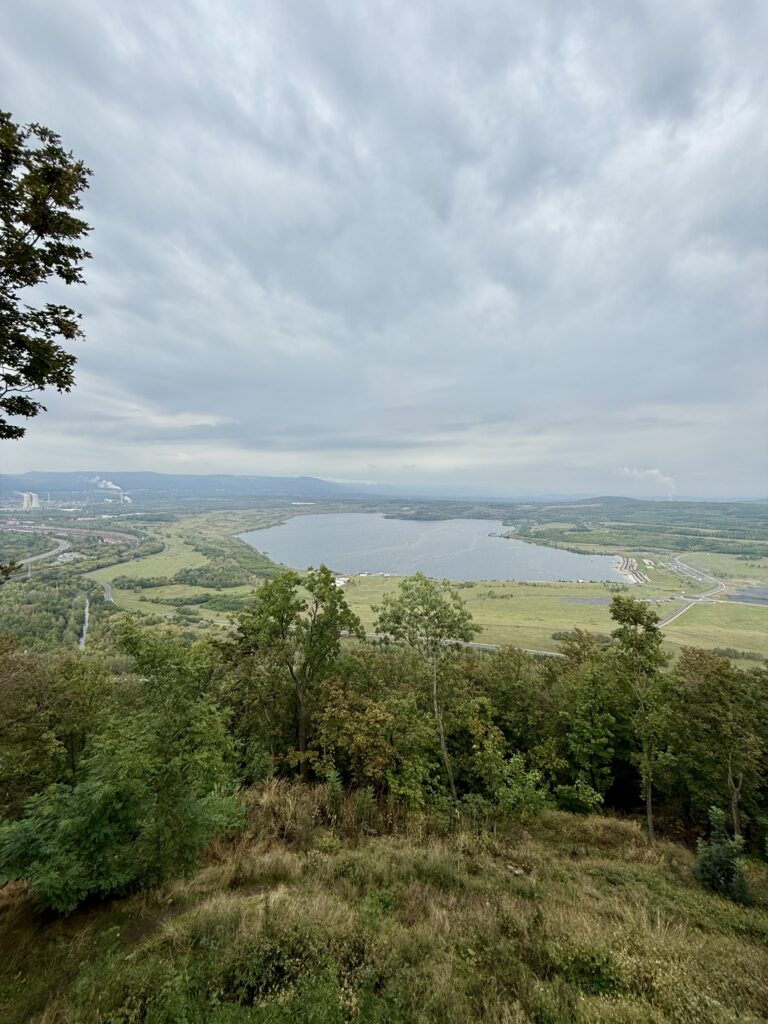 IMG_0866